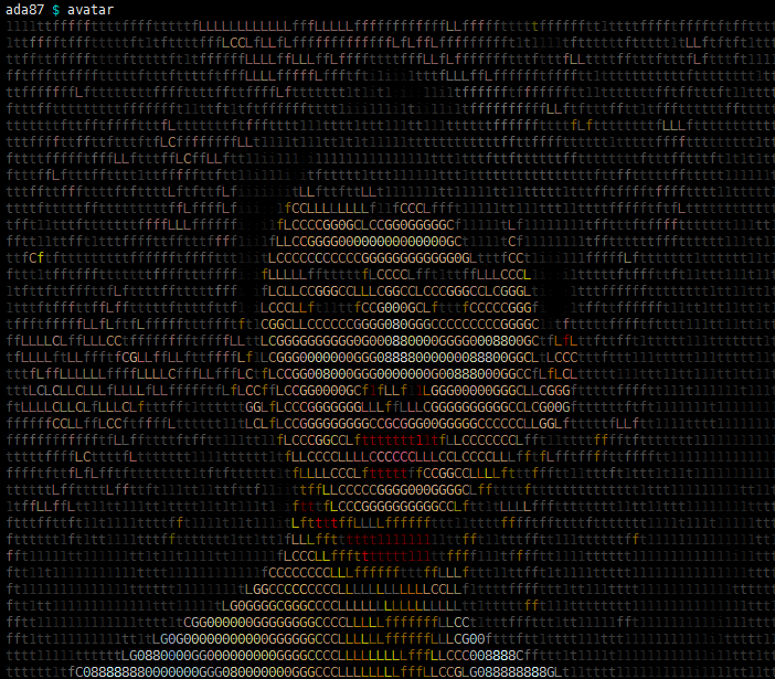 Coding412