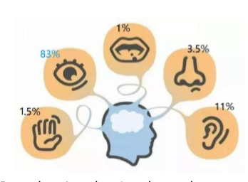 Information  visualization:  perception  for  design